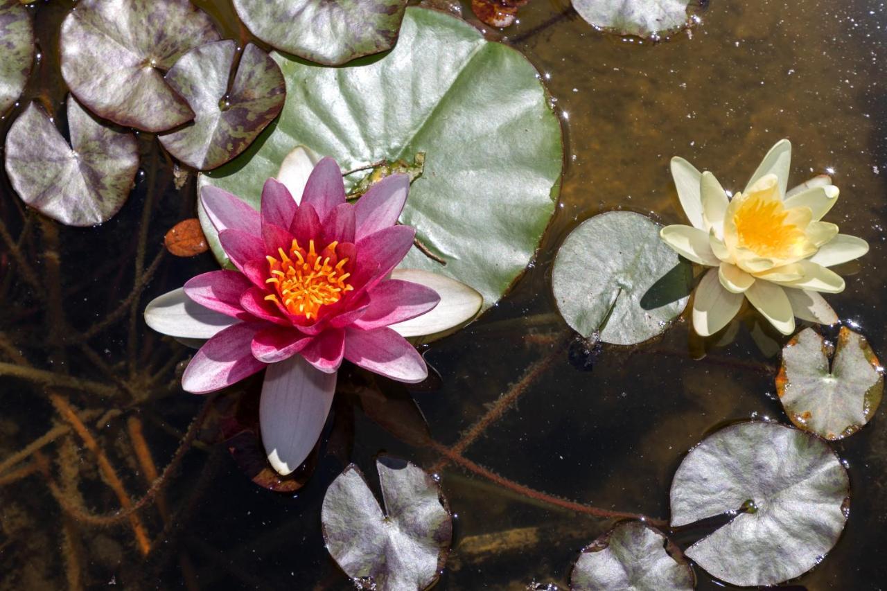 ヴァルソルダ Casamia Julietteヴィラ エクステリア 写真